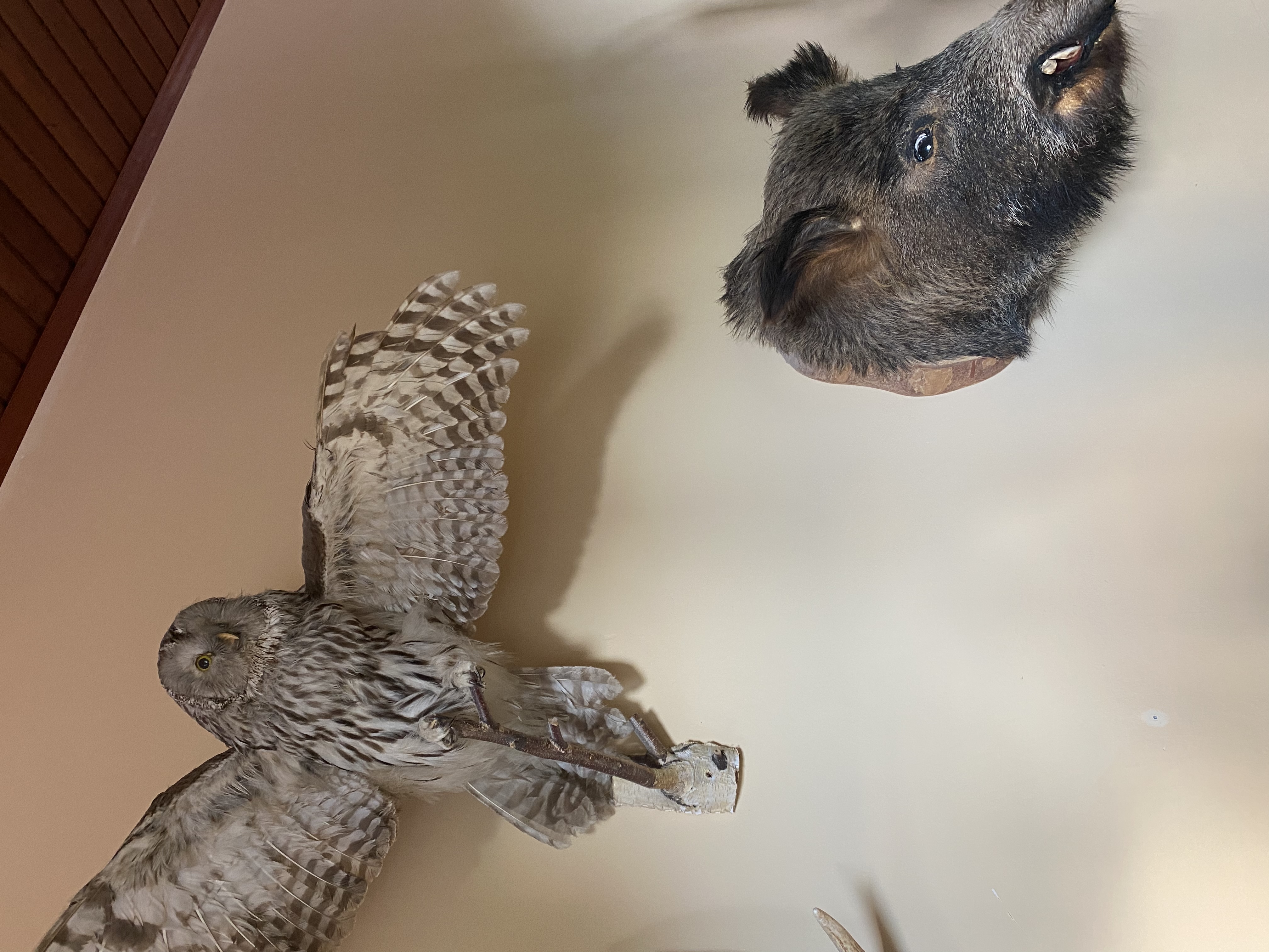 Фото Щукино