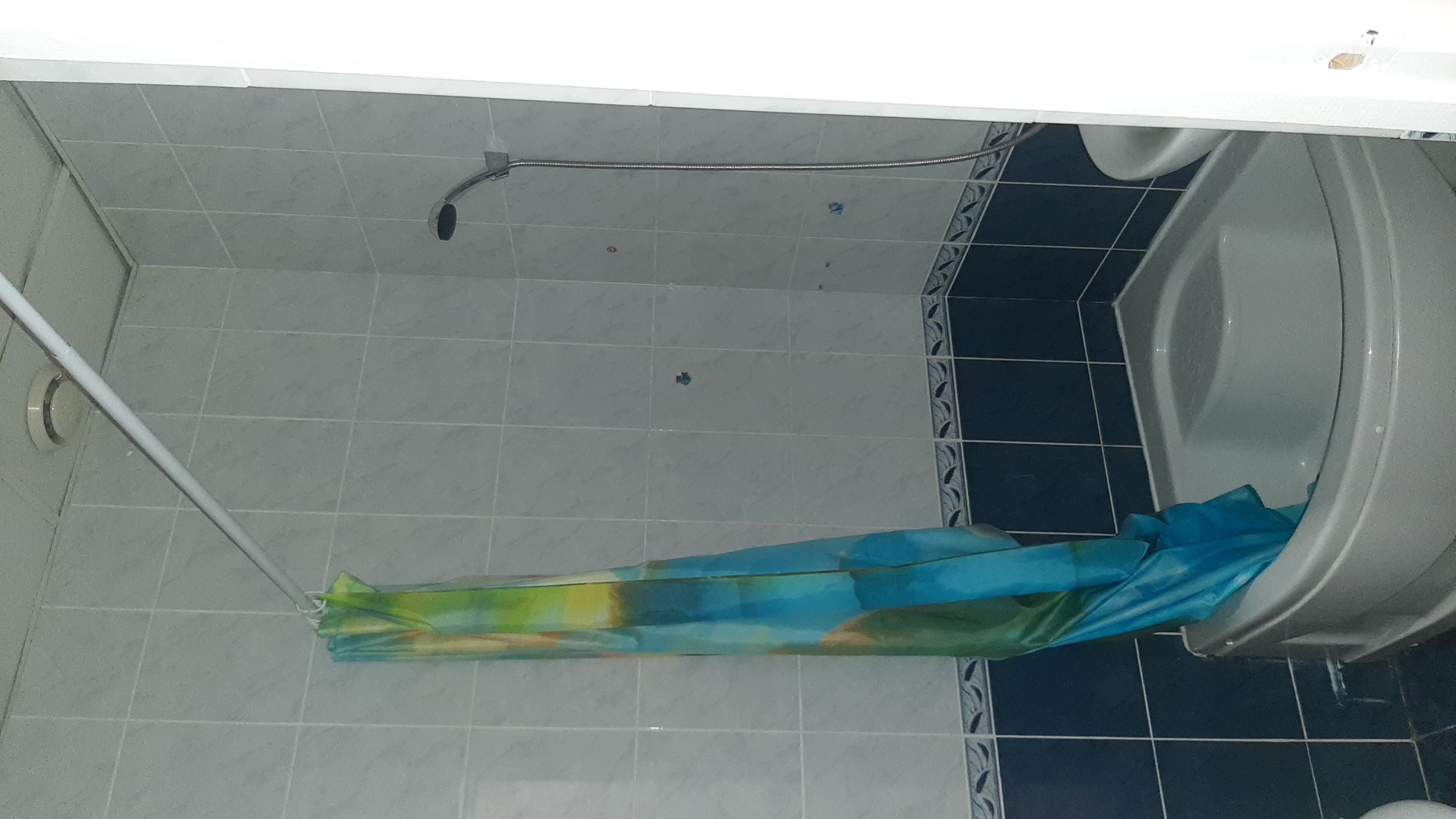 Фото Континент