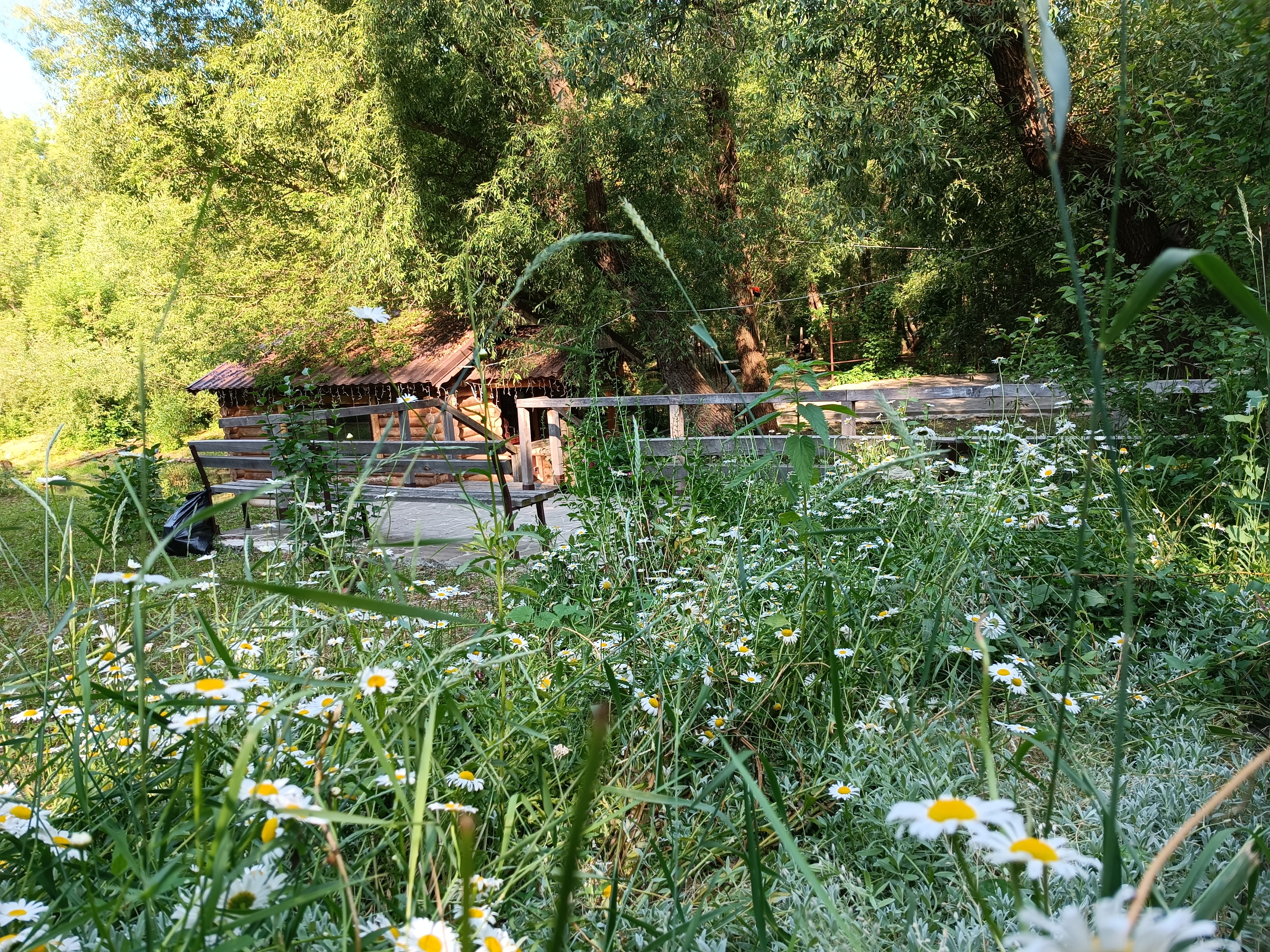 Фото Белые ключи