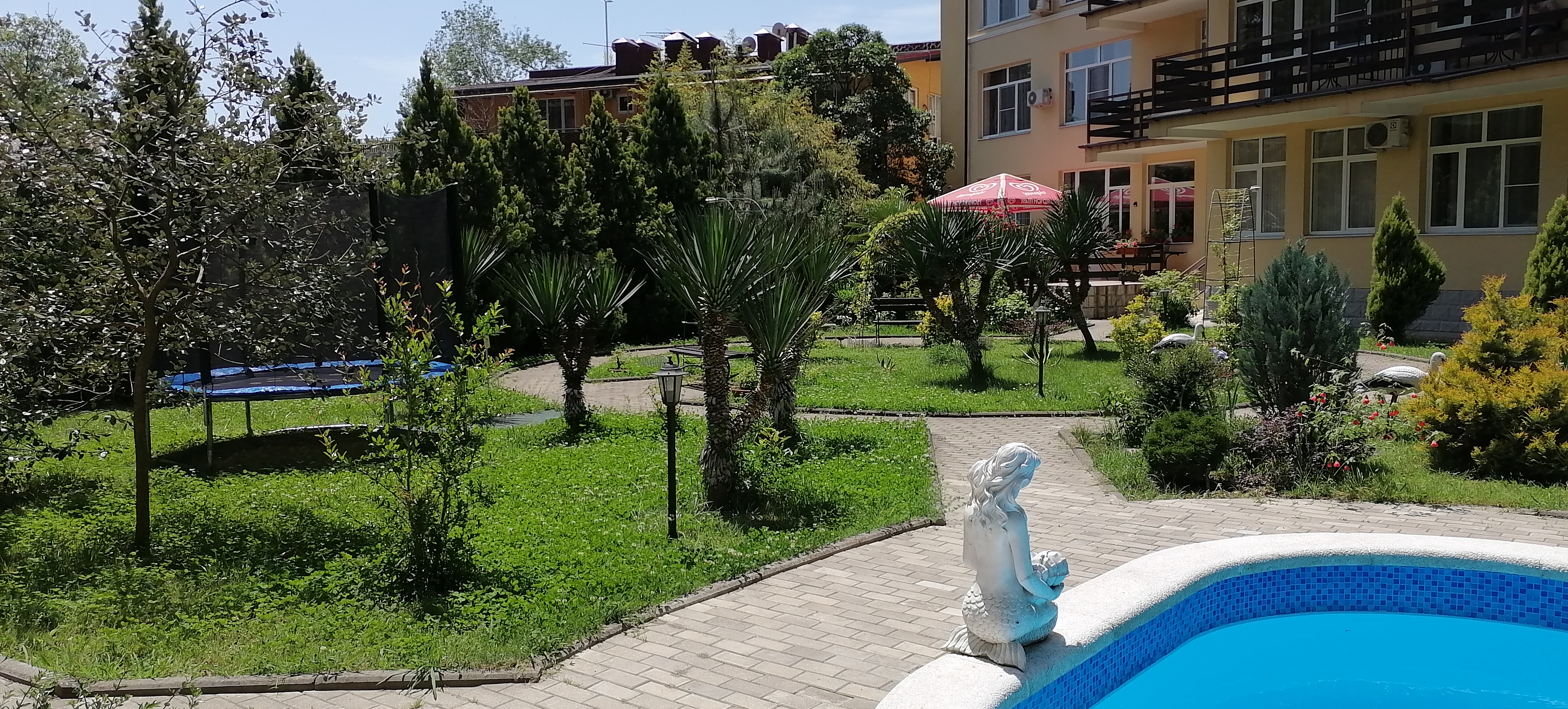 Фото Старая Хоста