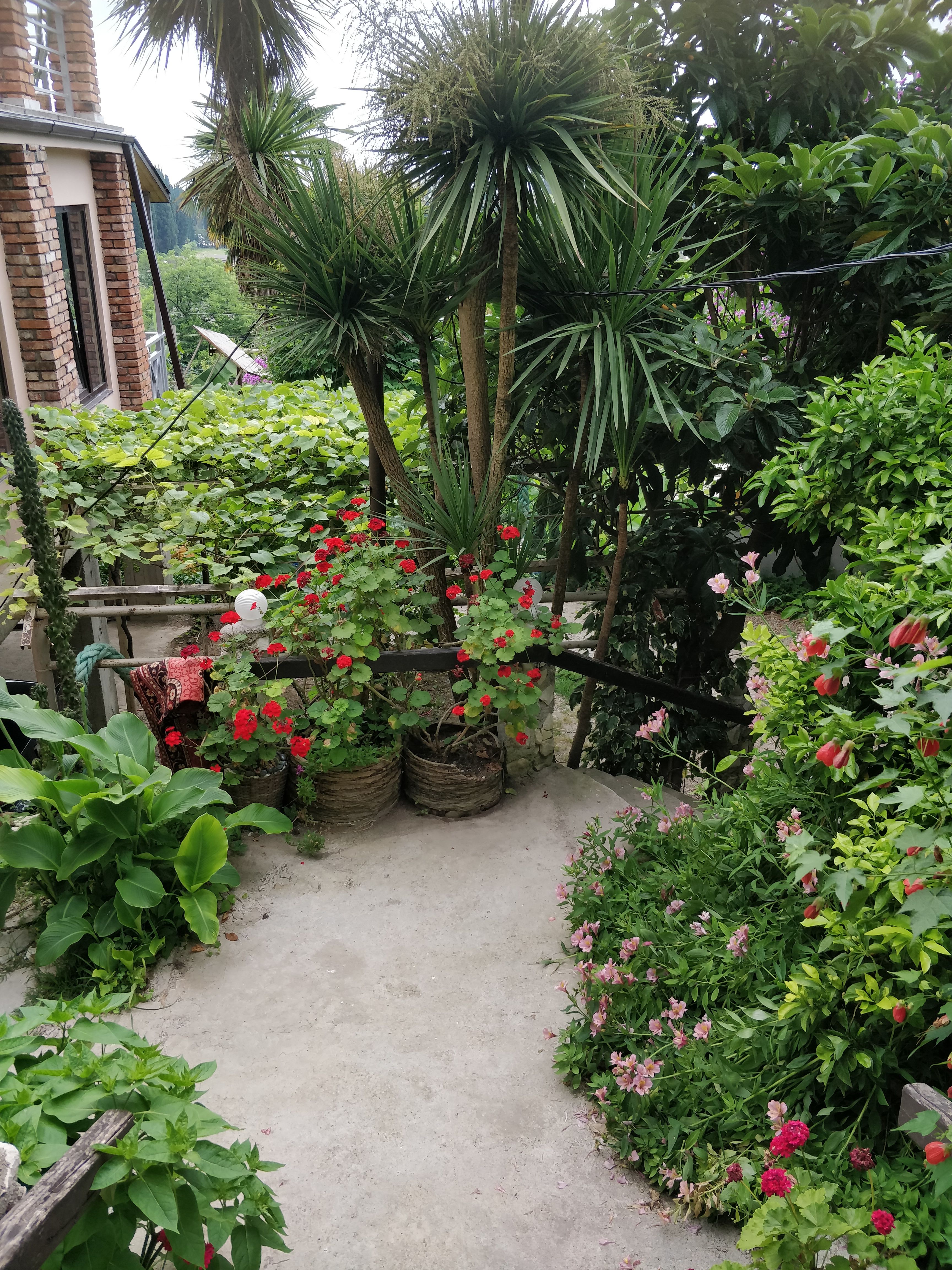 Фото Эль Платано