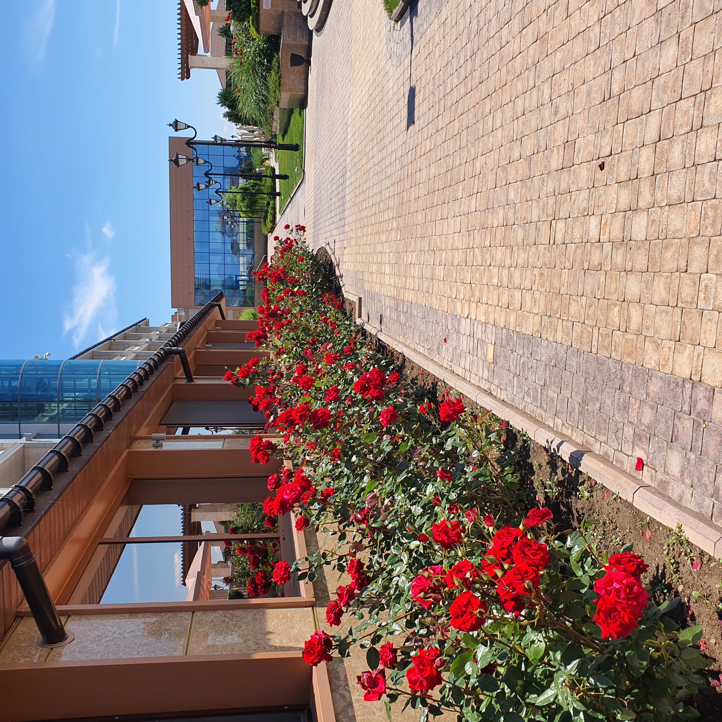 Фото Ribera Resort & SPA