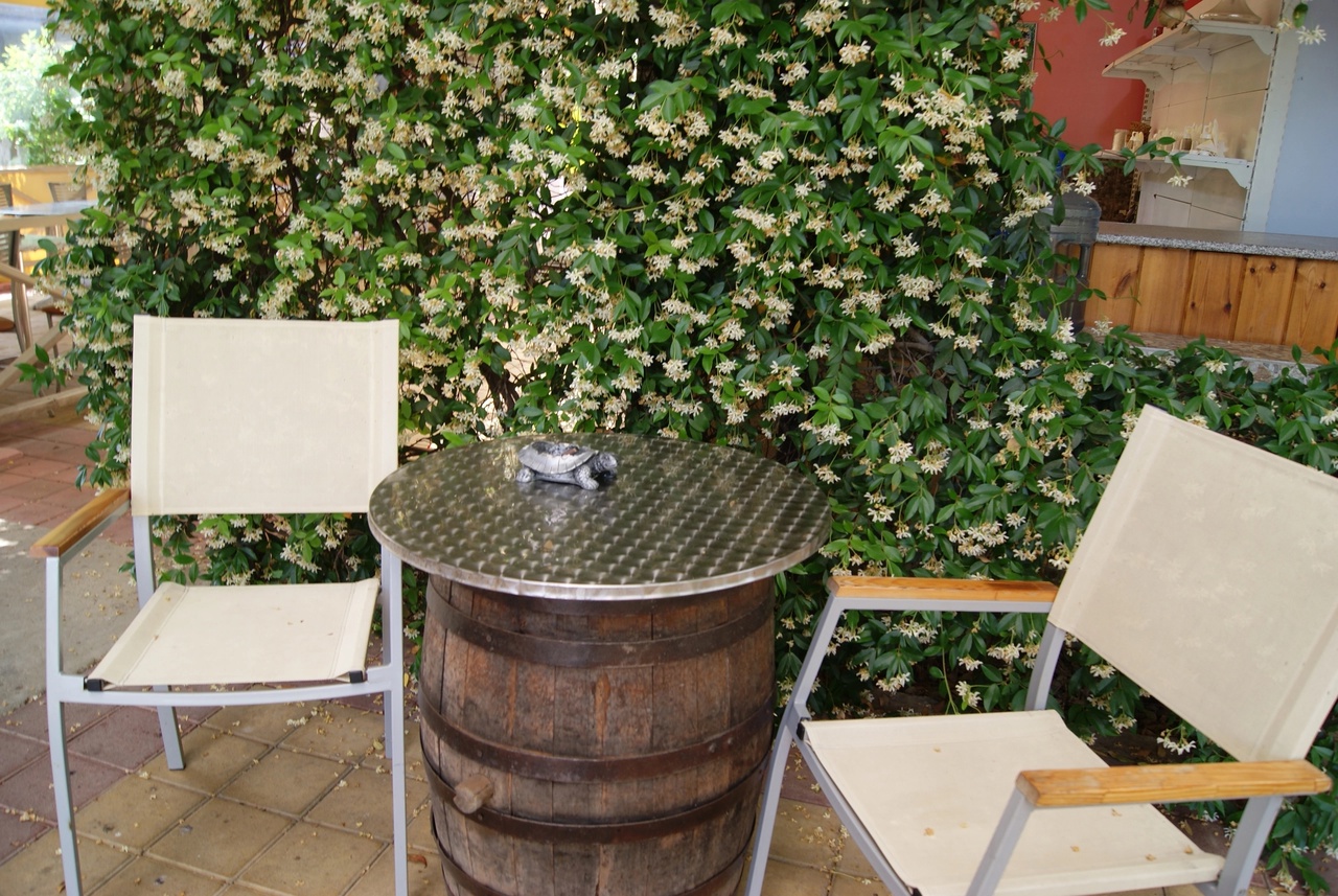 Фото Ариетта