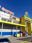Semeinyi (Penza, Antonova Street, 18В) ، مركز تسوق