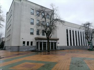 Государственное учреждение культуры Брестский областной общественно-культурный центр (Kamunistychnaja vulica, 1), centro cultural