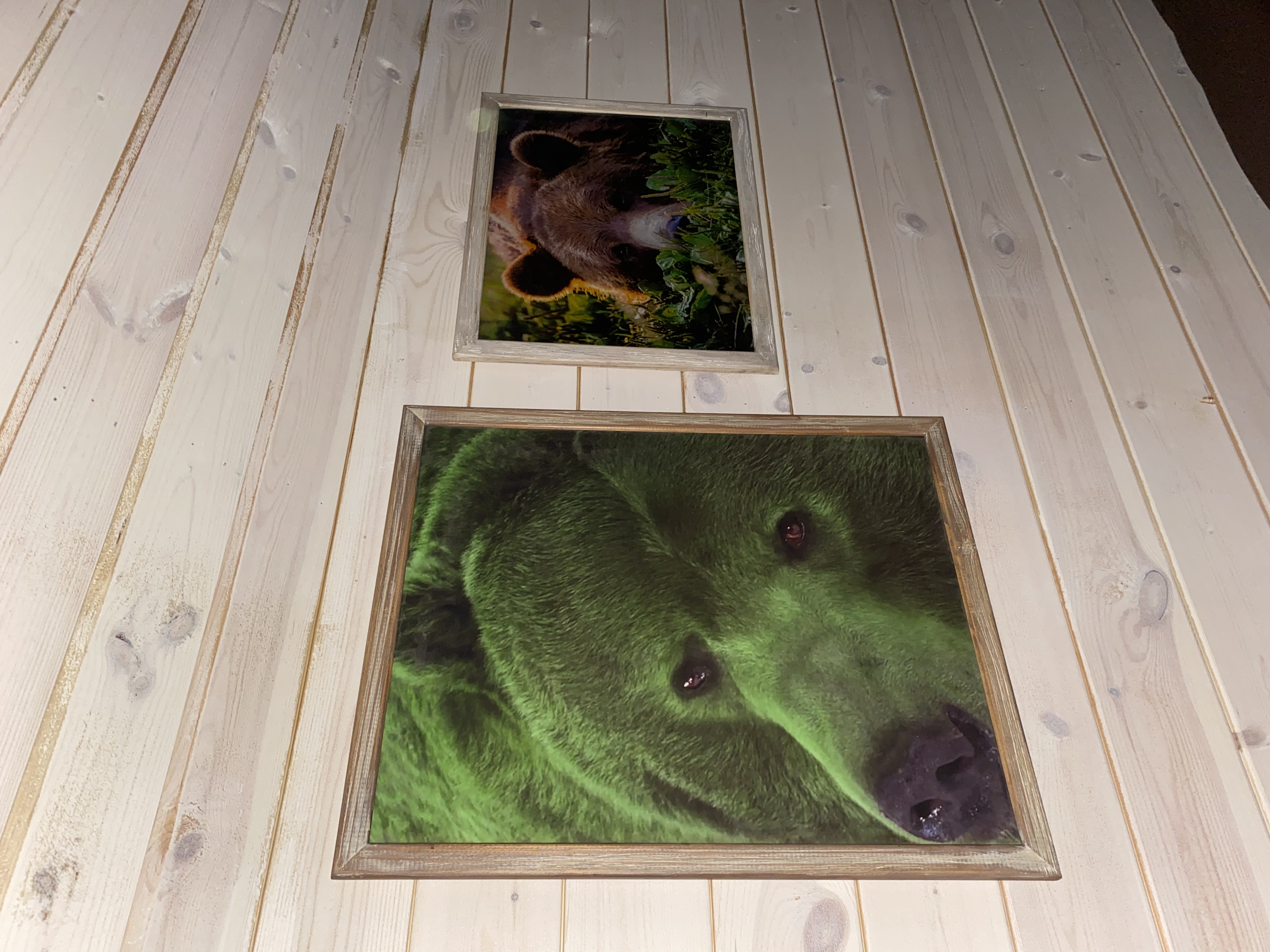 Фото Тайга House