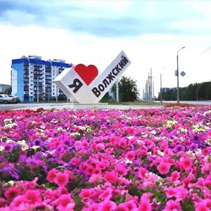 VLZhome