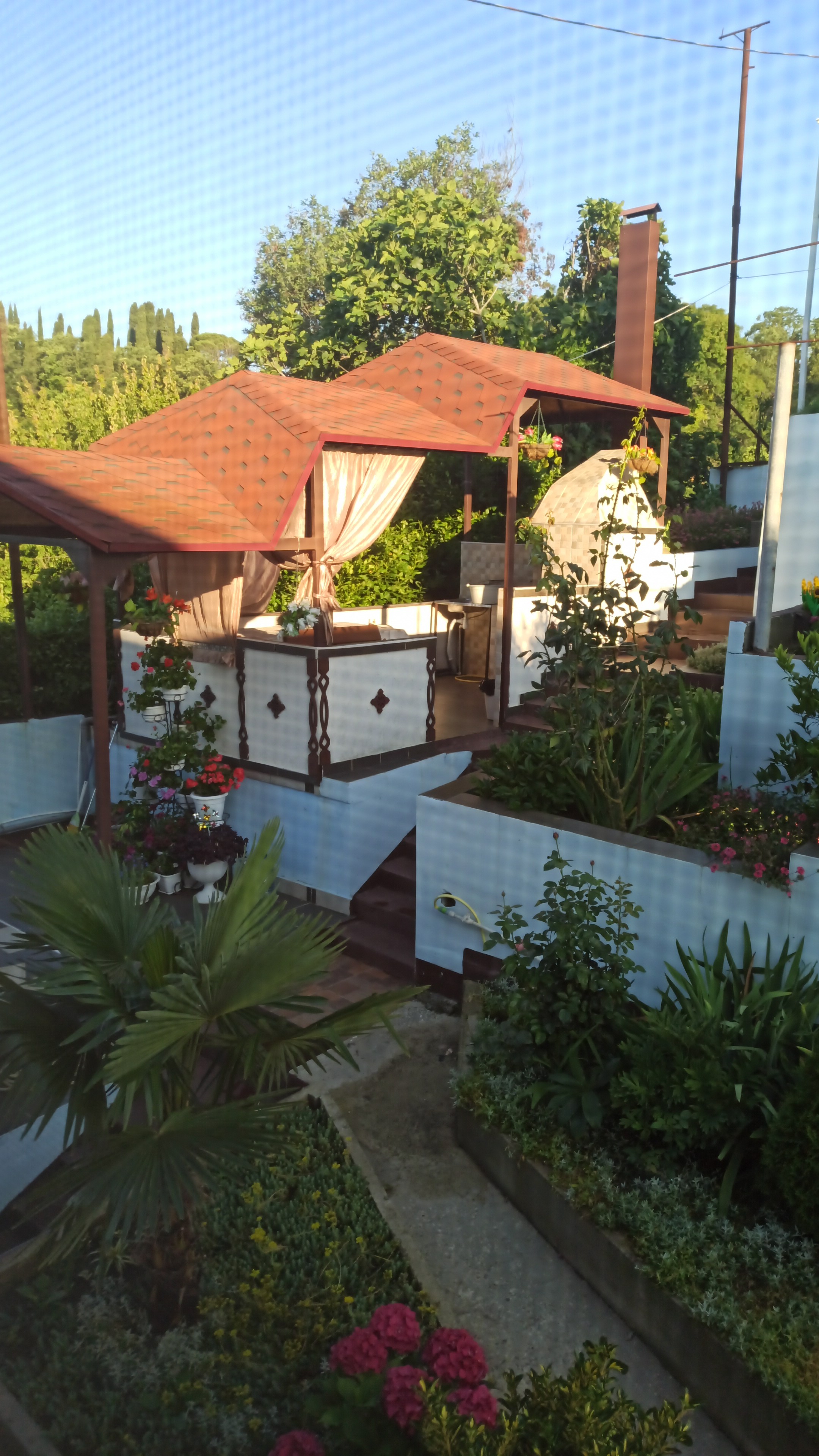 Фото Волгарь