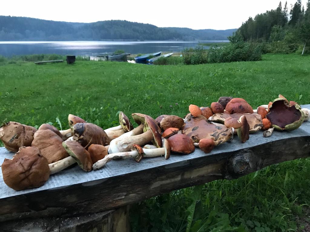 Фото Вилланорда