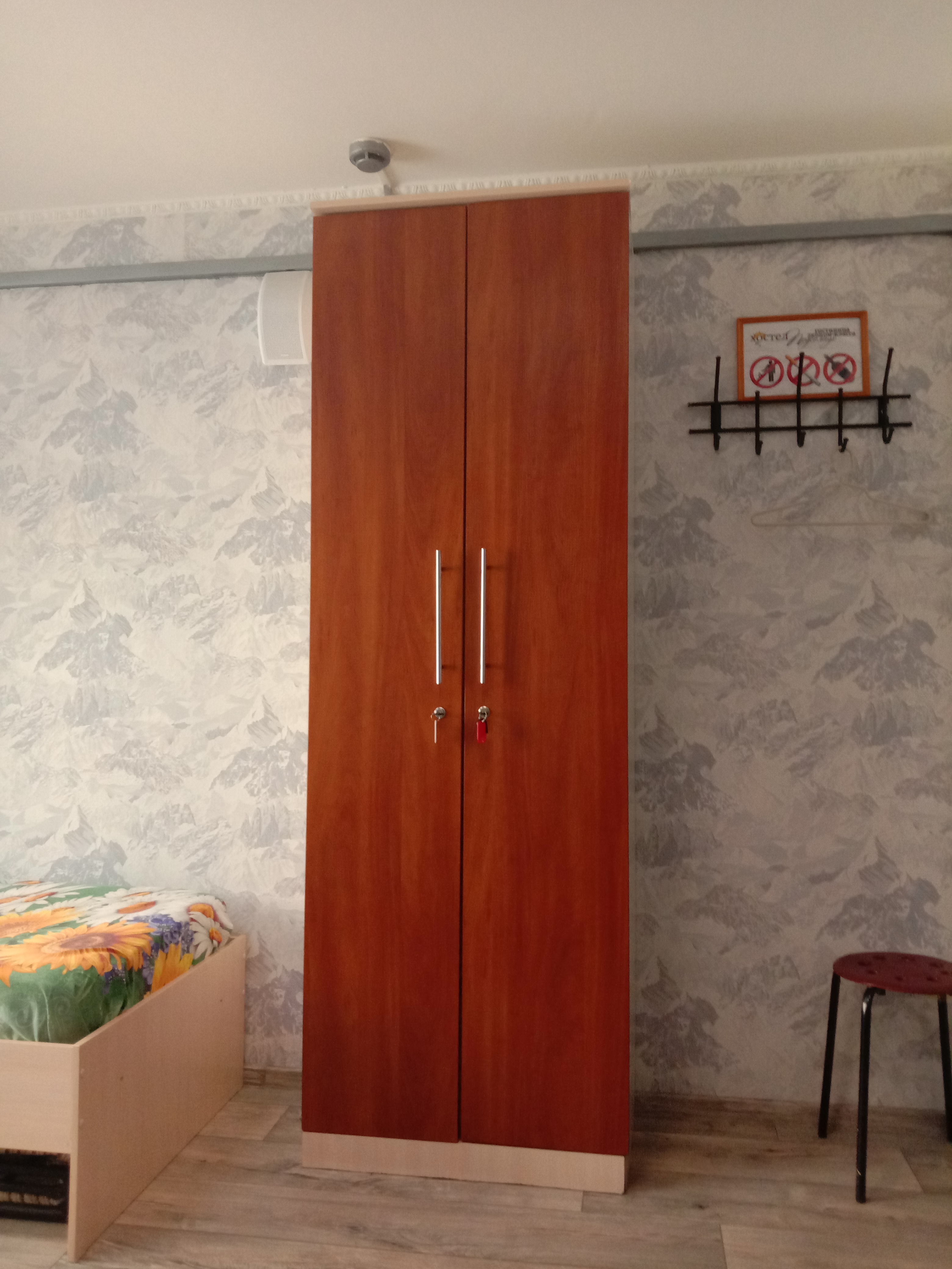 Фото Подсолнух