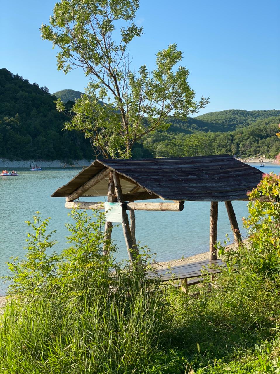 Фото Кипарис