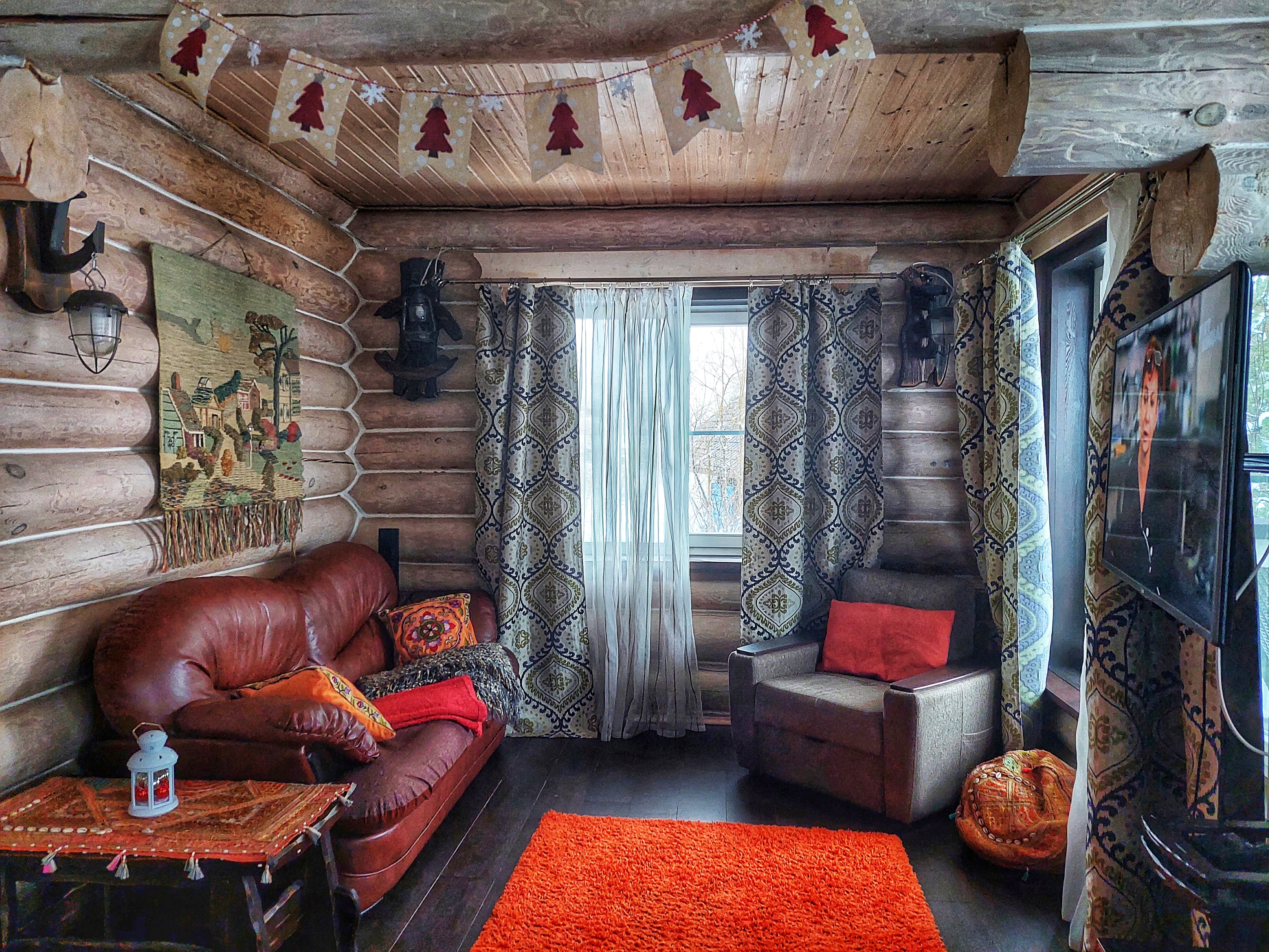 Фото Сорока