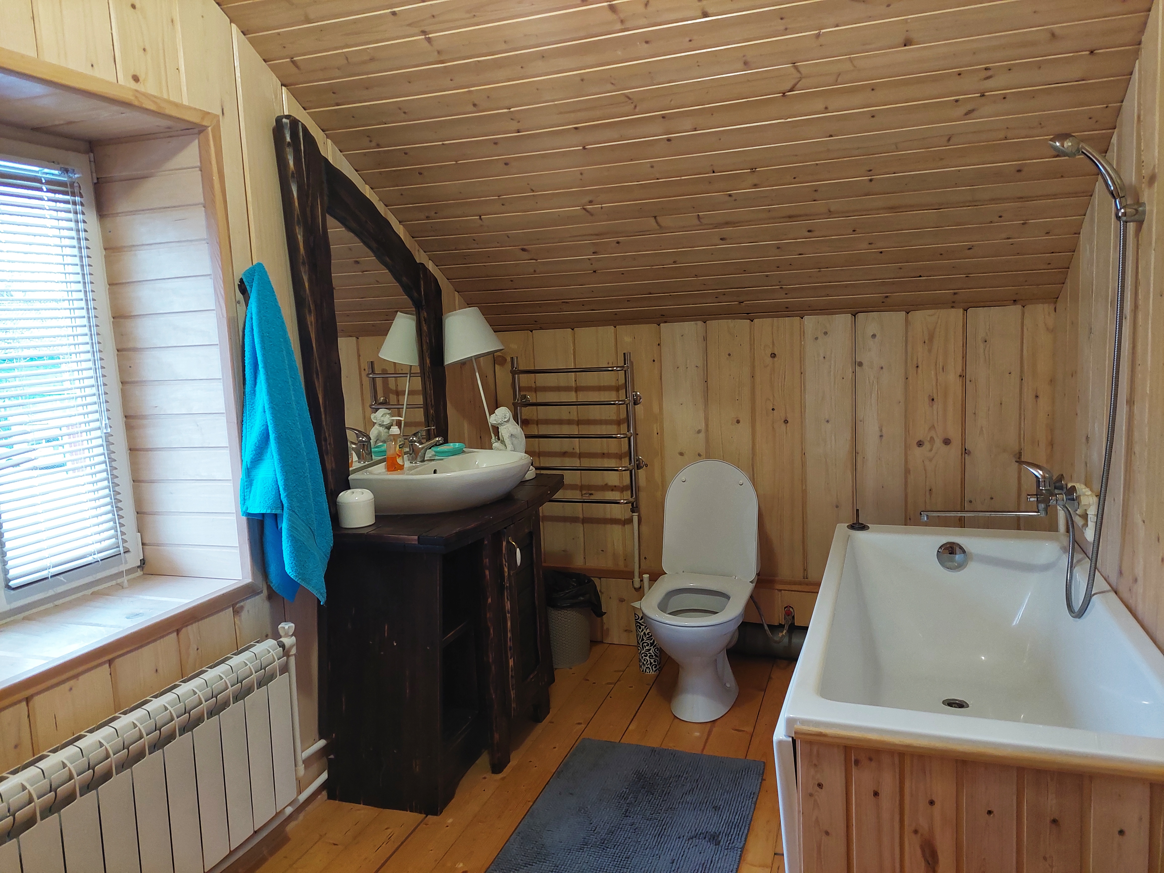 Фото Сорока