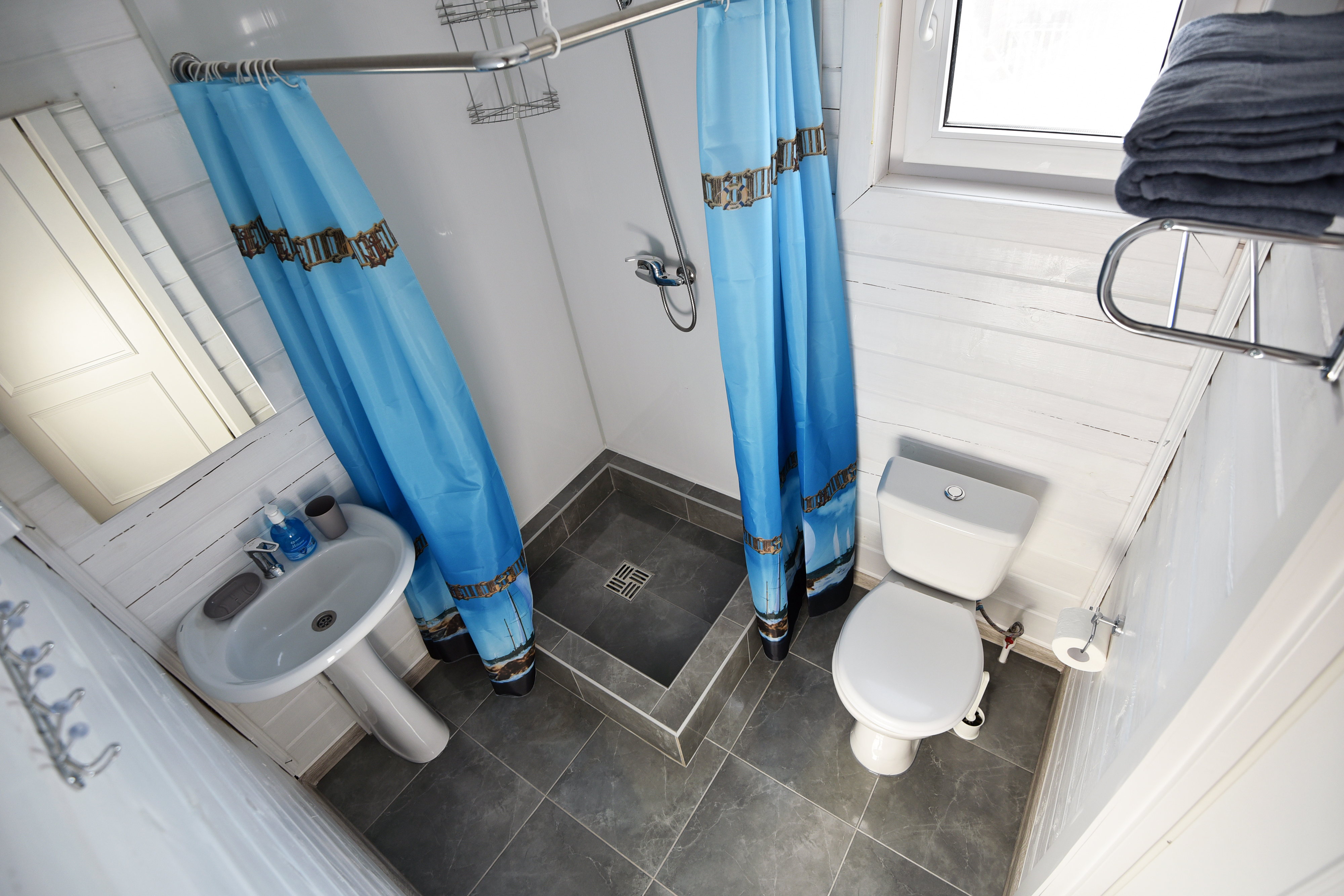 Фото Азовская чайка