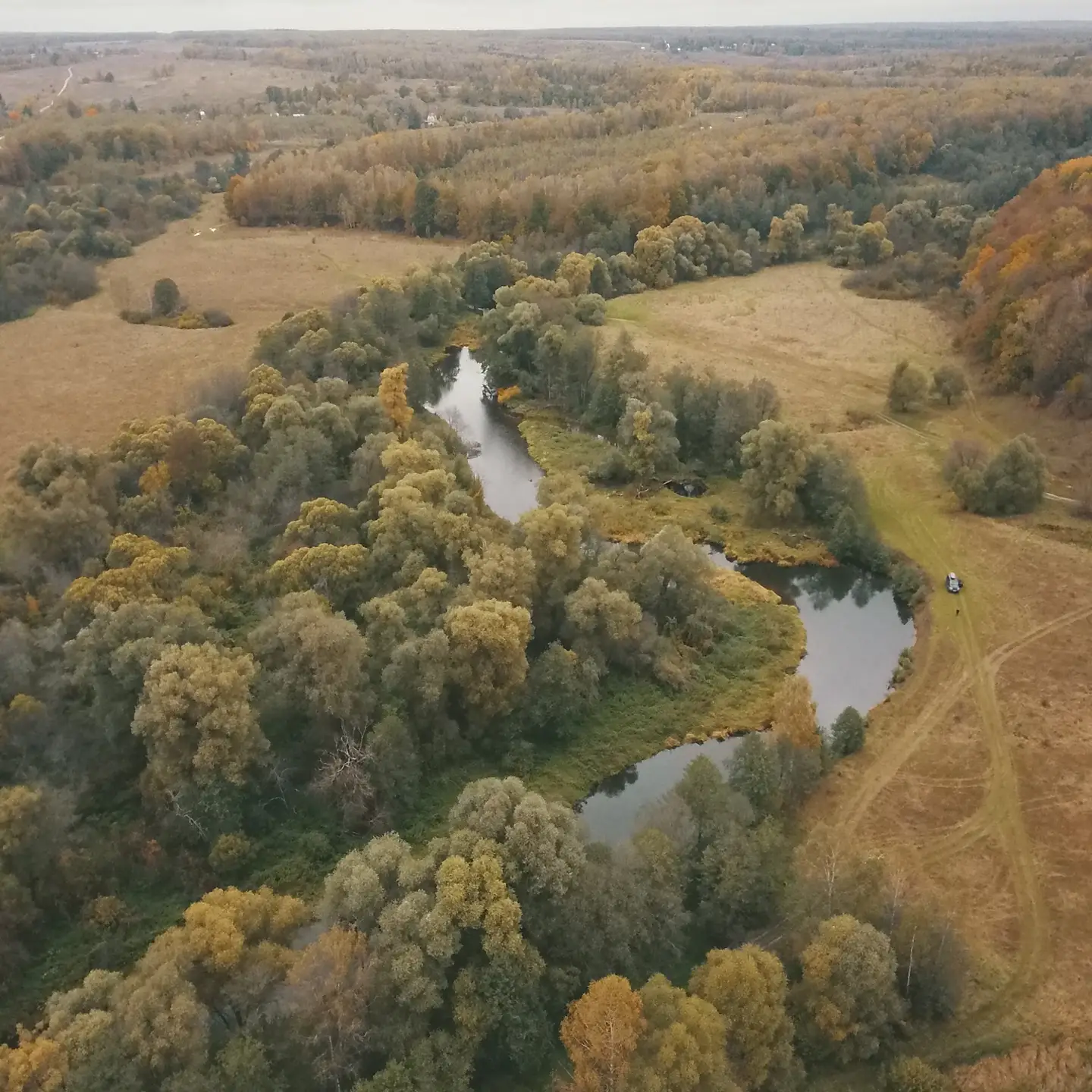 Фото О, Дни в Лесу