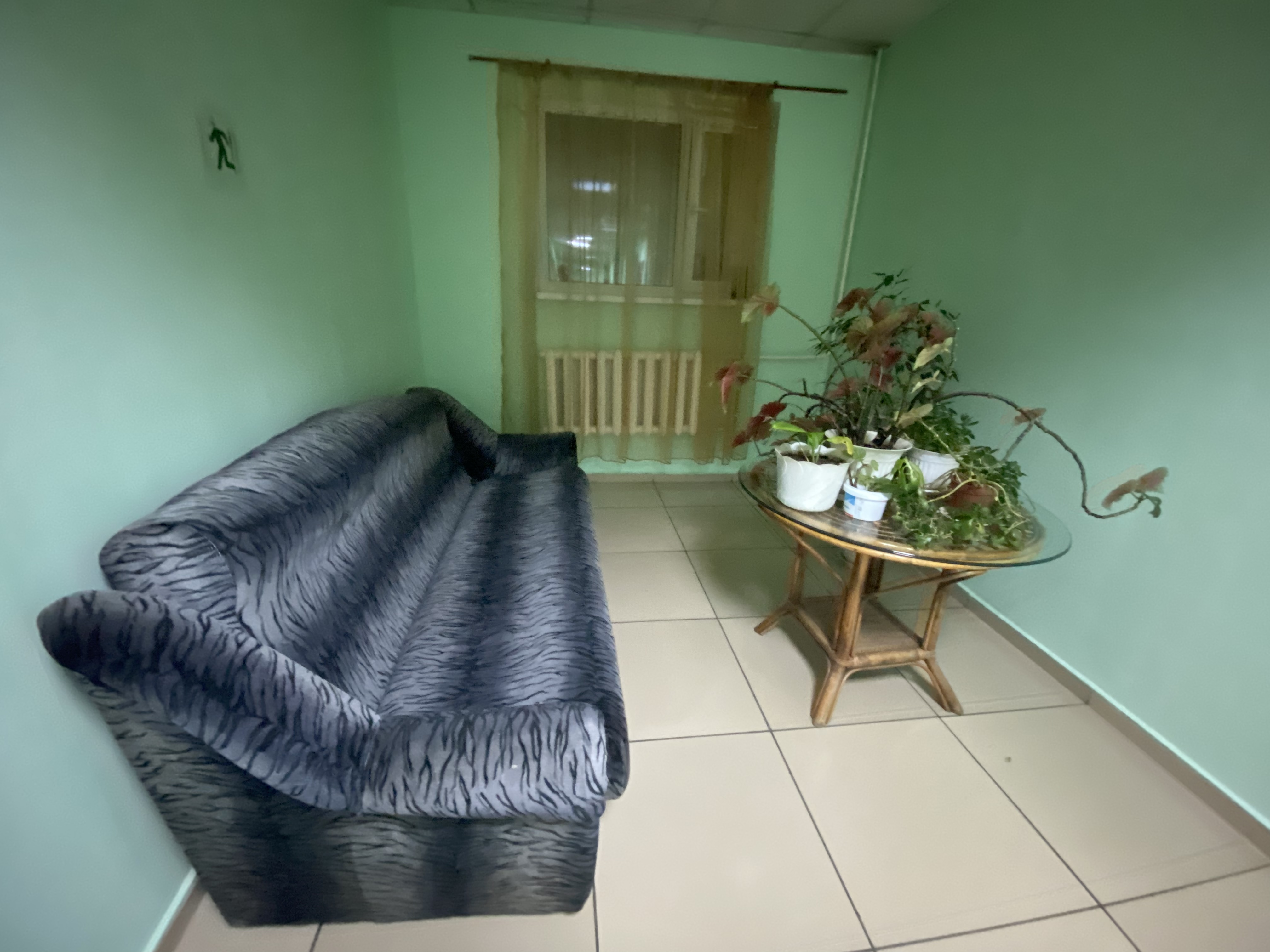 Фото Два кита