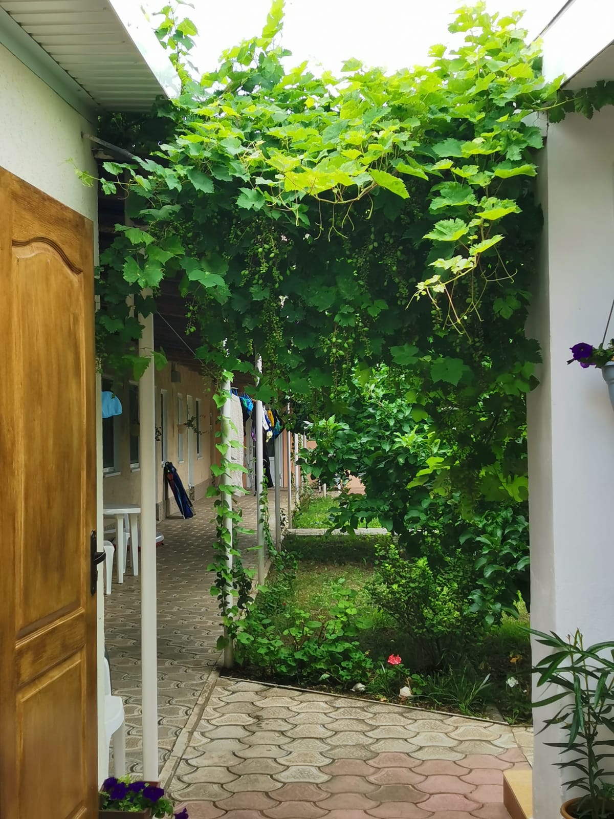 Фото Лонисера