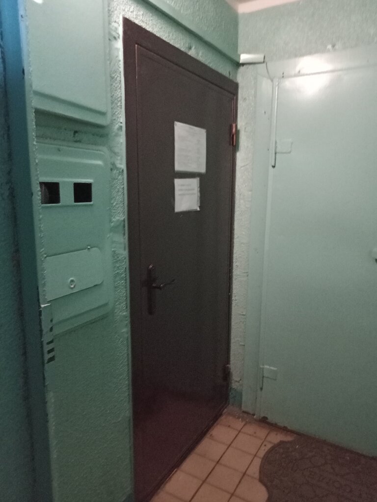 قسم الشرطة Territorial'nye organy Mvd Rossii ، نابريجني تشيلني، صورة