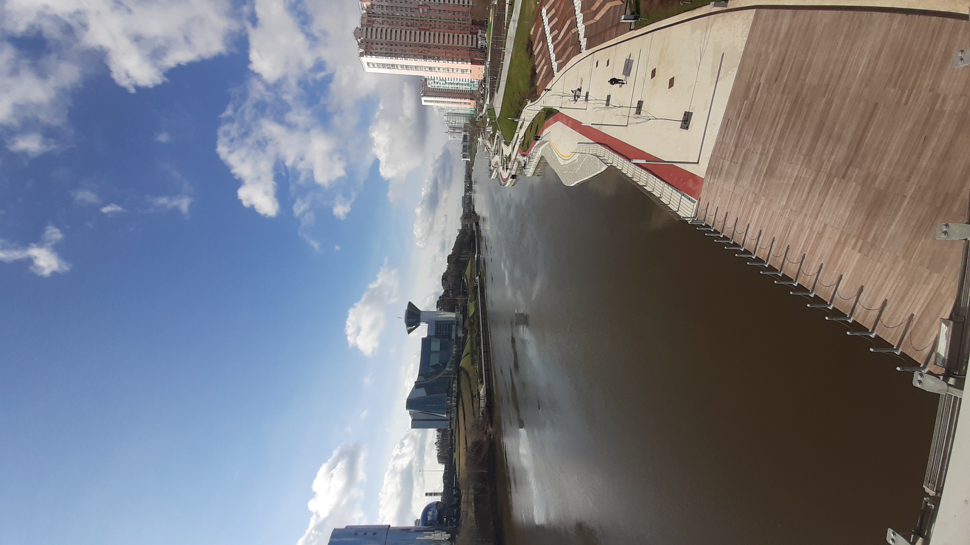 Фото Crocus Star