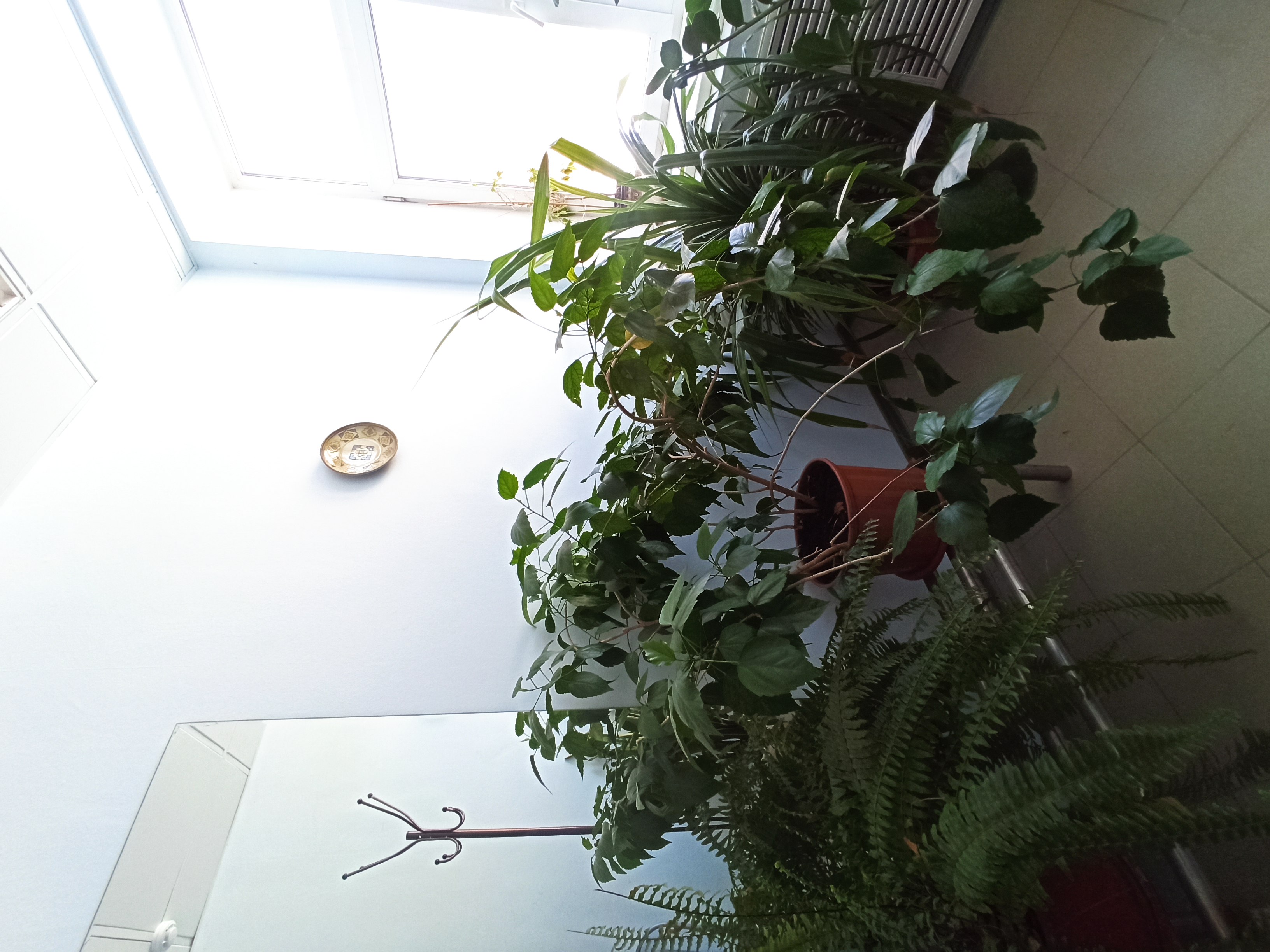 Фото Санаторий-профилакторий ЗАО ЕЗСК сервис