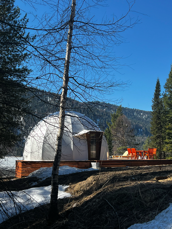 Фото Forest Glamp