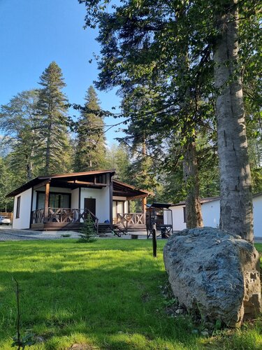 Гостиница Апартаменты Дача в Карачаево-Черкесской Республике