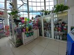 Cveti (Yugo-Zapadnyy microdistrict, ulitsa Kosmonavta Vladislava Volkova, 6А), flower shop
