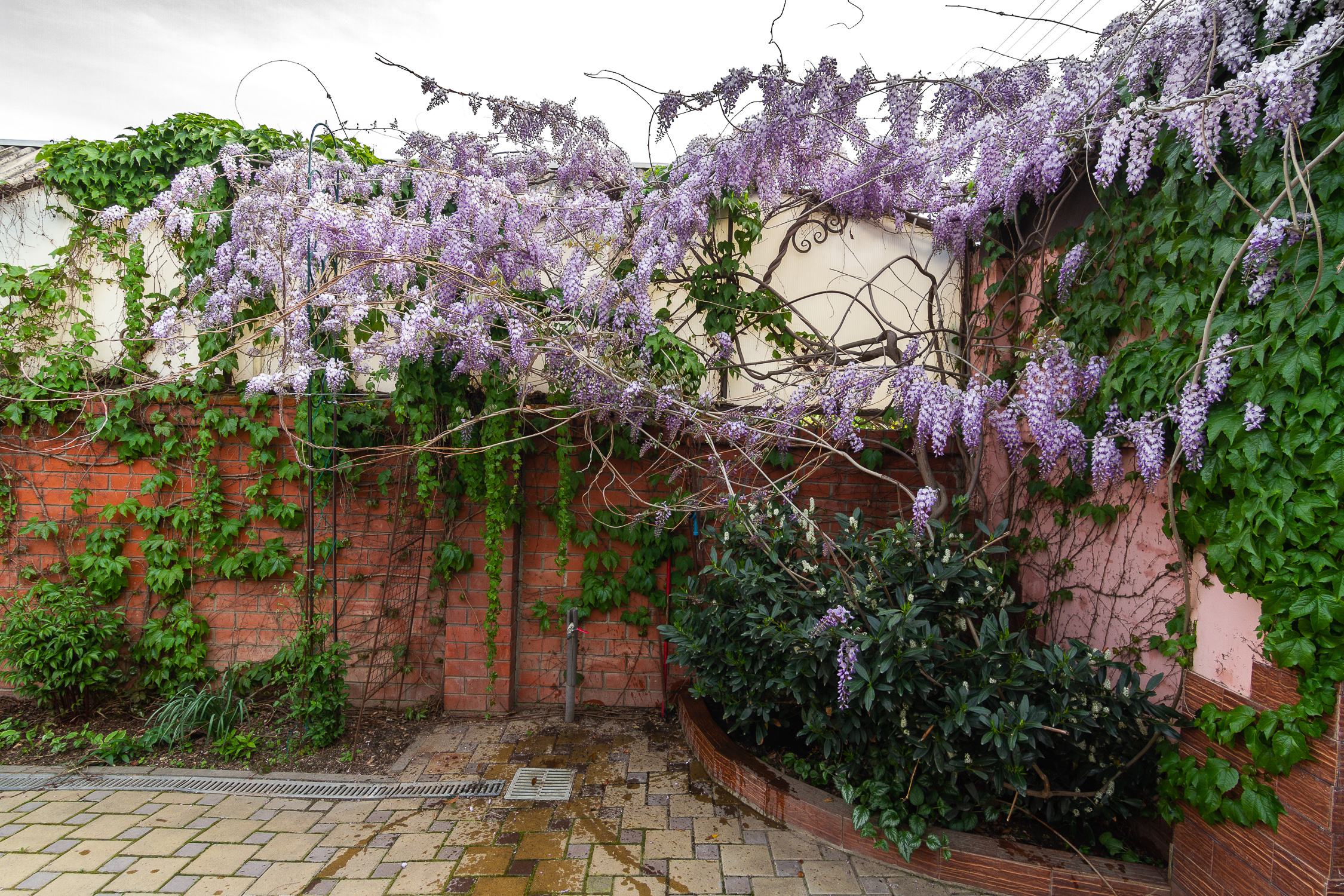 Фото Наталисити