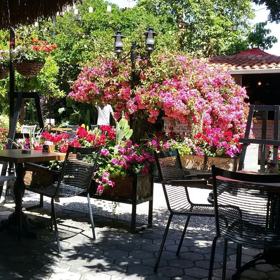 Кафе Luna Garden, Муратпаша, фото