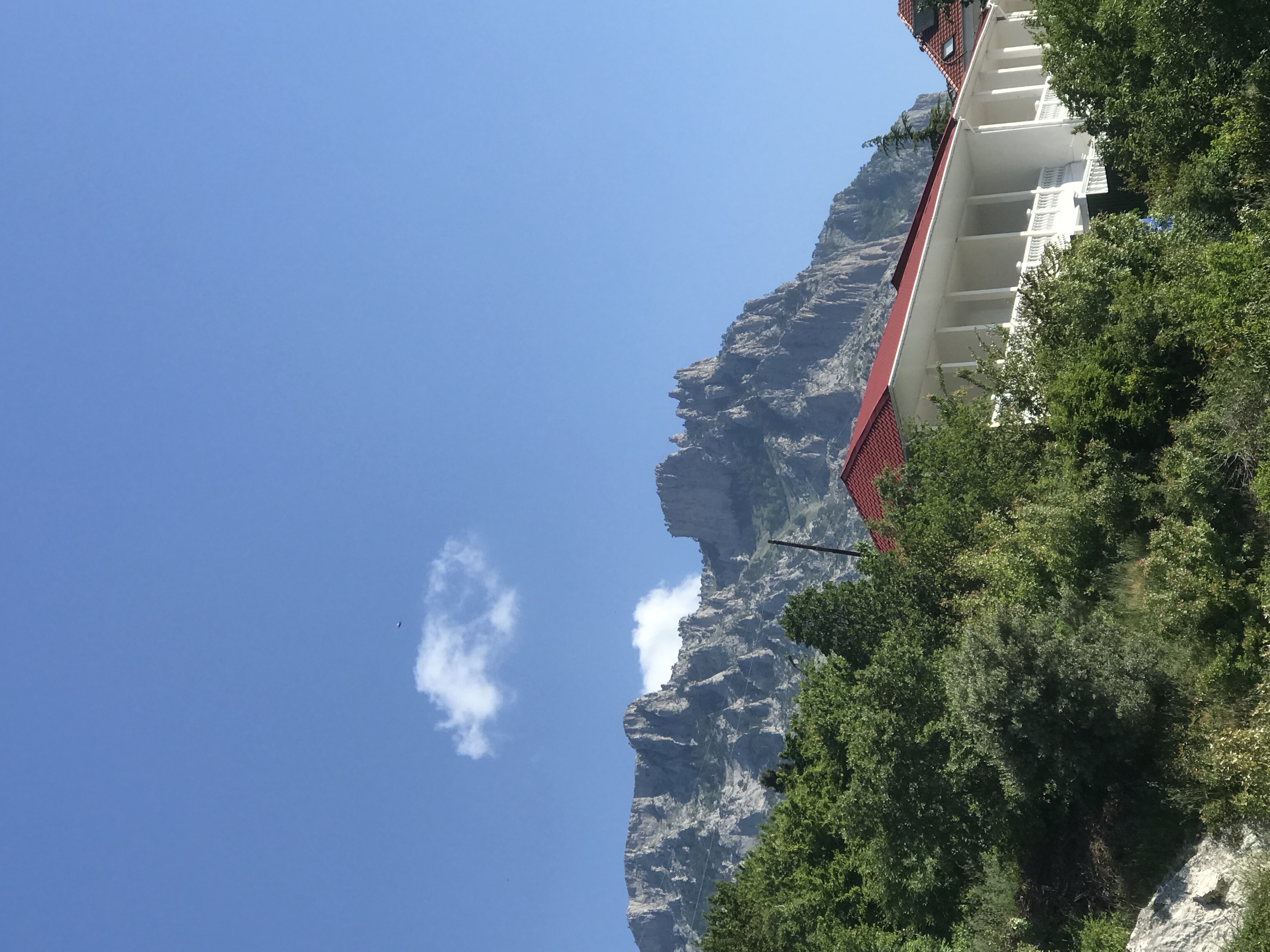 Фото Кедр-Запад