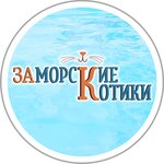 Заморские котики (ул. Лейтенанта Шмидта, 19, стр. 2), бассейн в Самаре