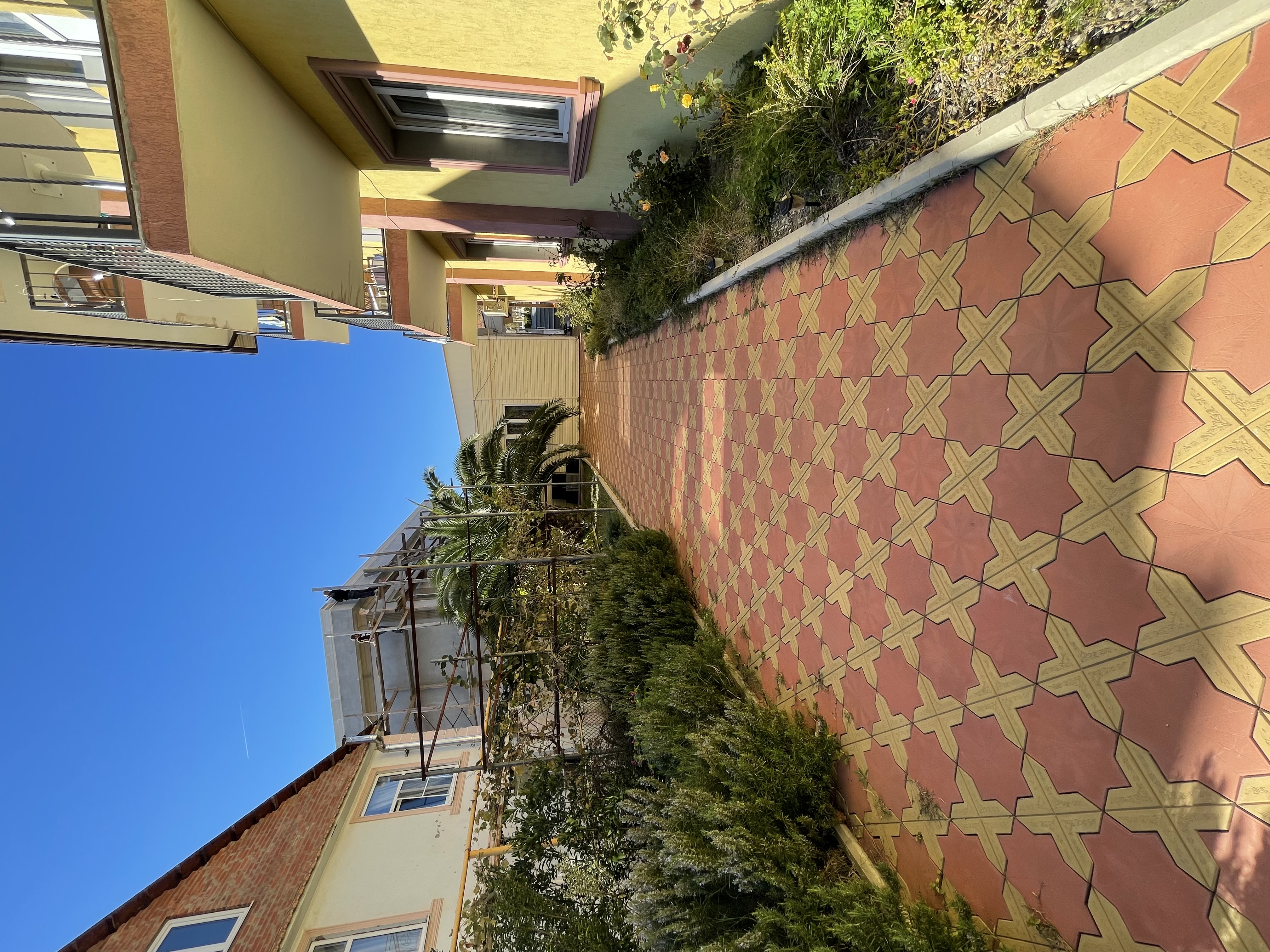 Фото Олимпия