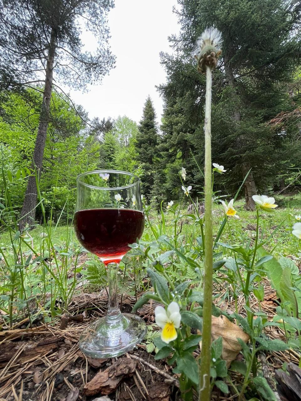 Фото King House Arkhyz