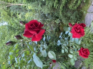 Фото Никель