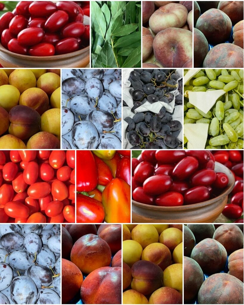 Greengrocery Fruit Shop, Velsk, photo