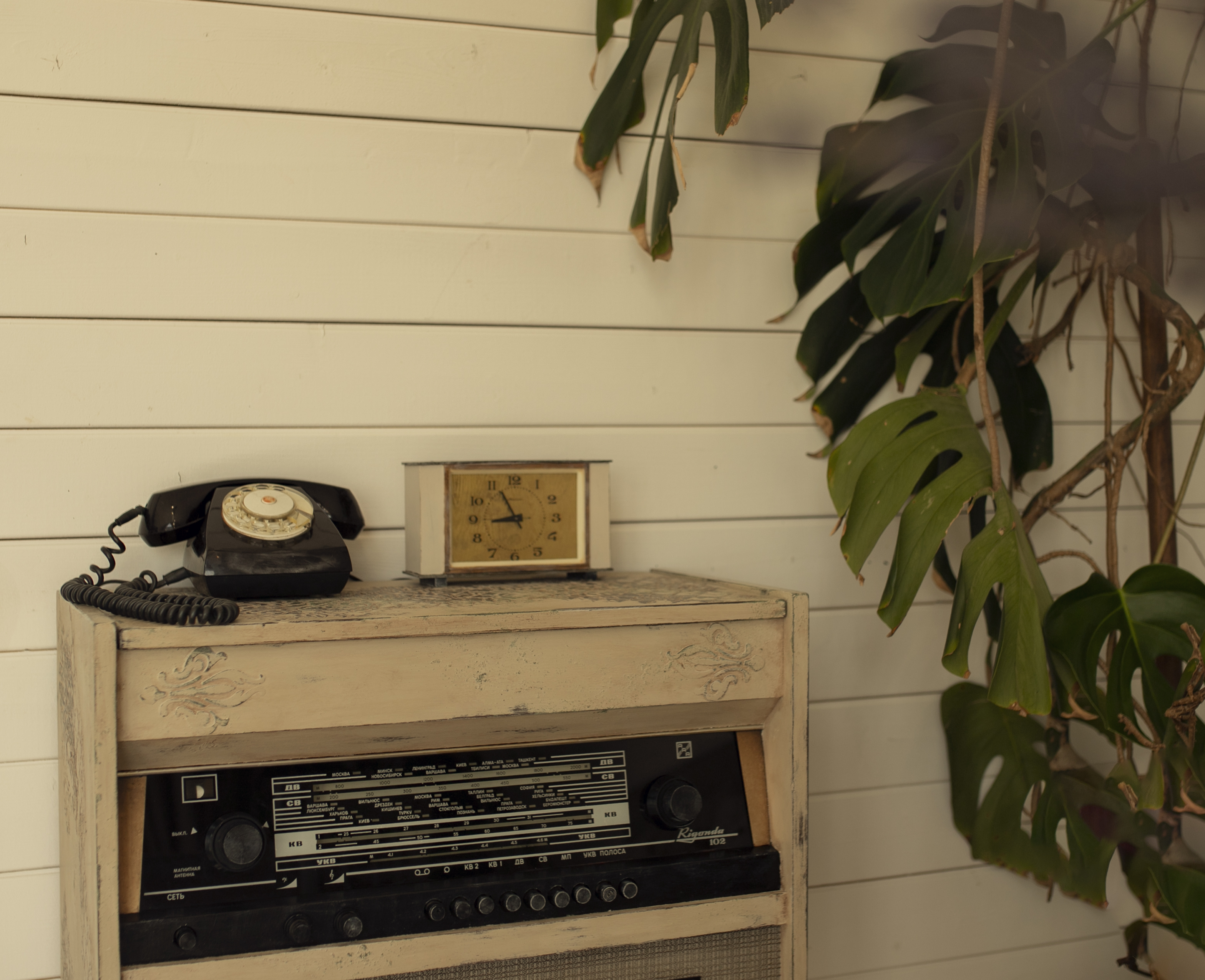 Фото Северский Рыбхоз