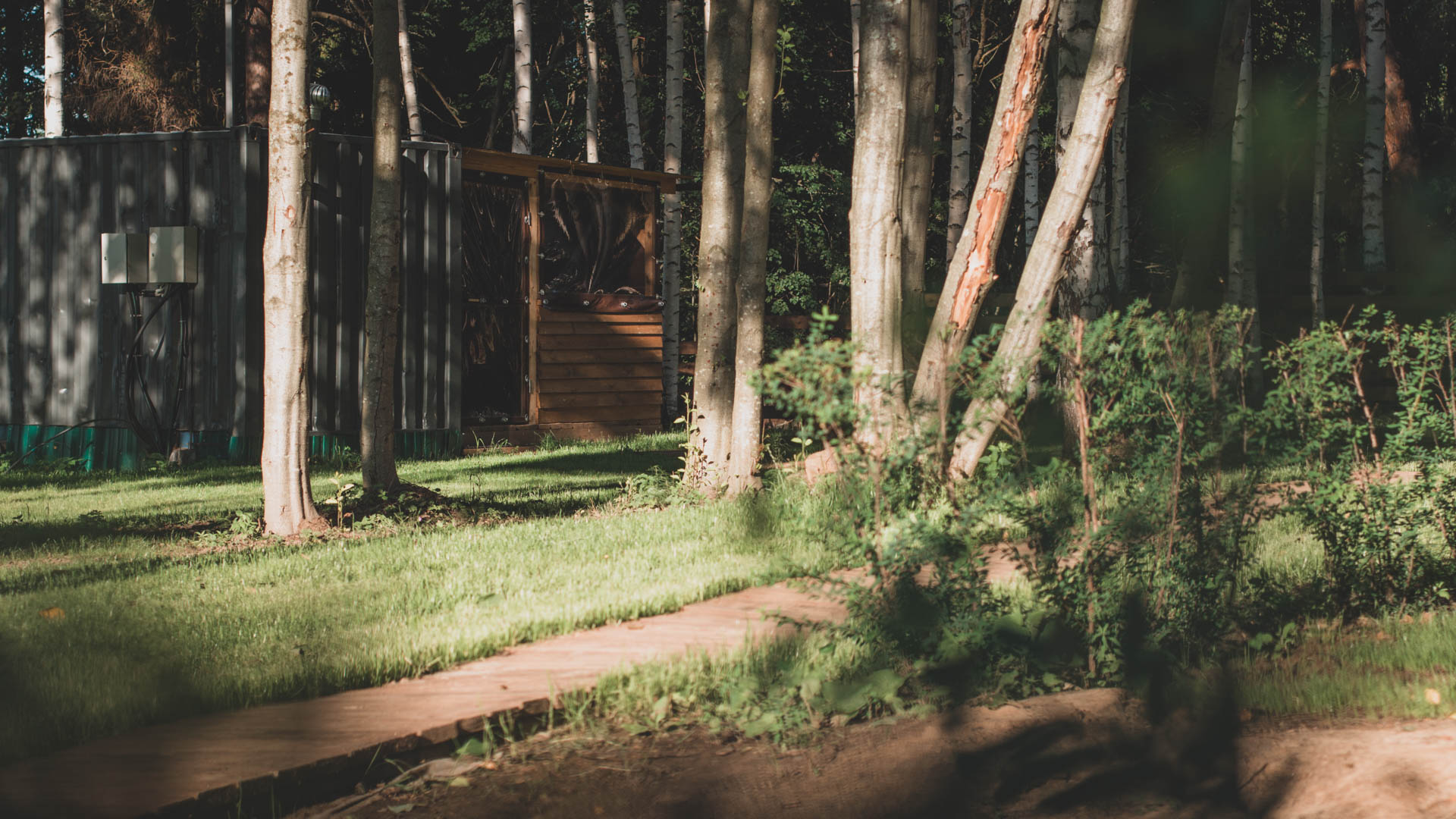 Фото Высокий берег