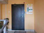 Agromag (Cheryomushki Microdistrict, Biyskaya Street, 5А), sale and lease of commercial real estate