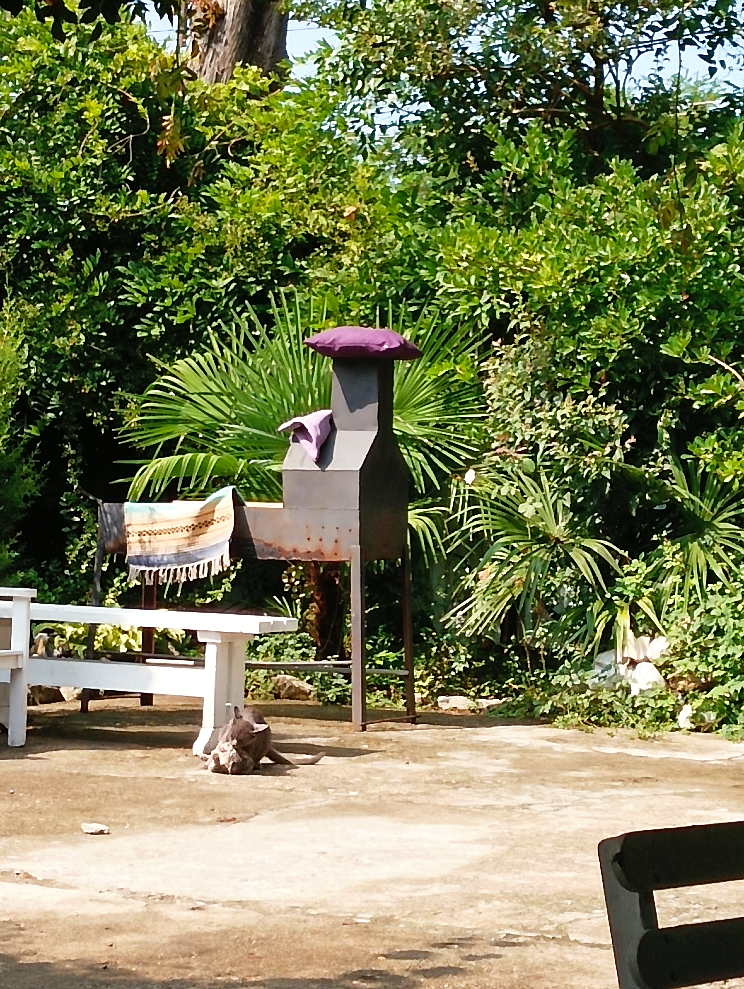 Фото Гостевой дом Шанти