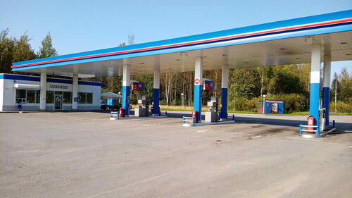 Gas station Surgutneftegaz Novgorodnefteprodukt, Holm, photo