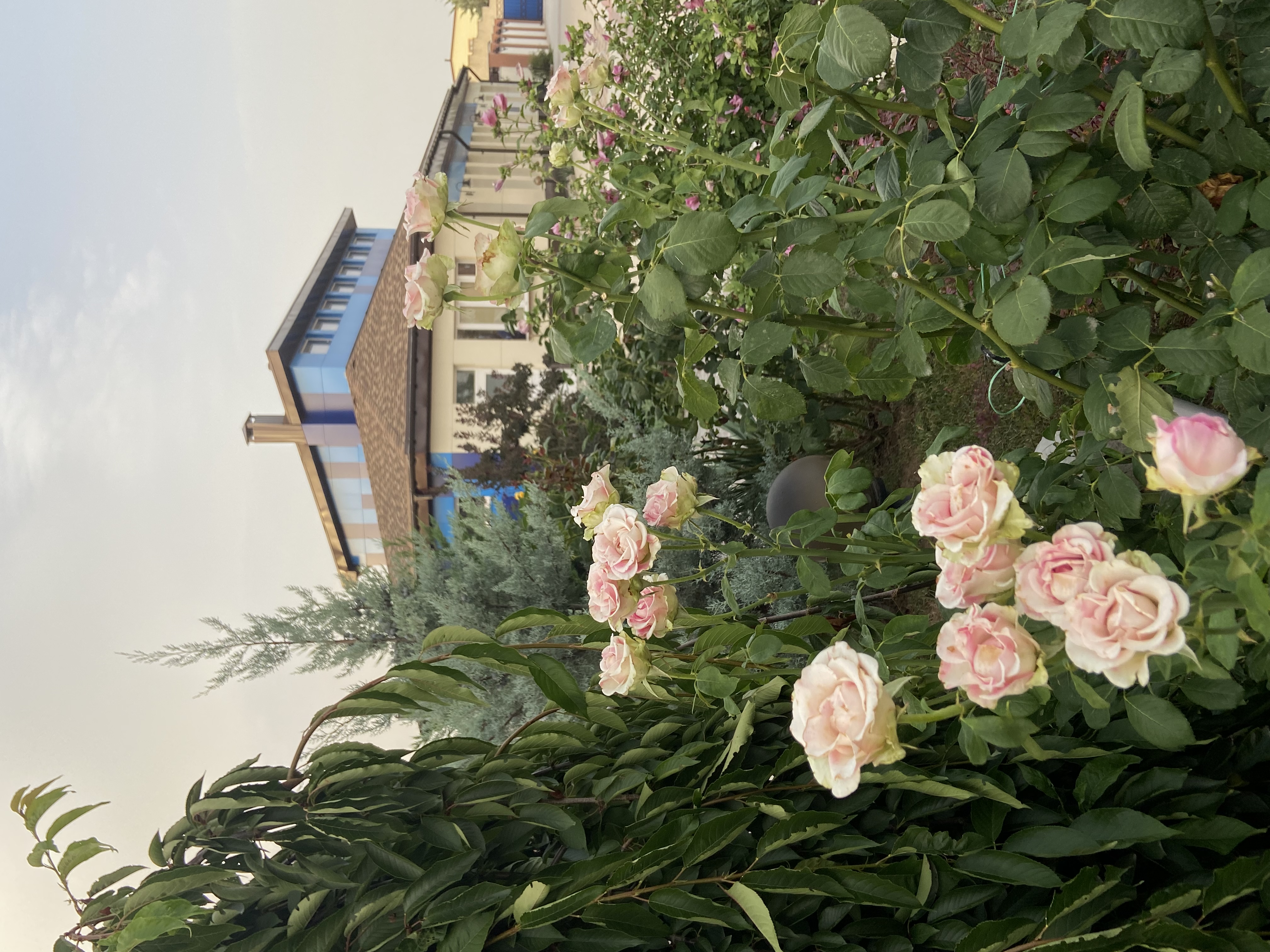 Фото Лига-Клуб