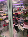 Аполон-95 (Khimki, mikrorayon Firsanovka, Shosseynaya Street, 1), flower shop