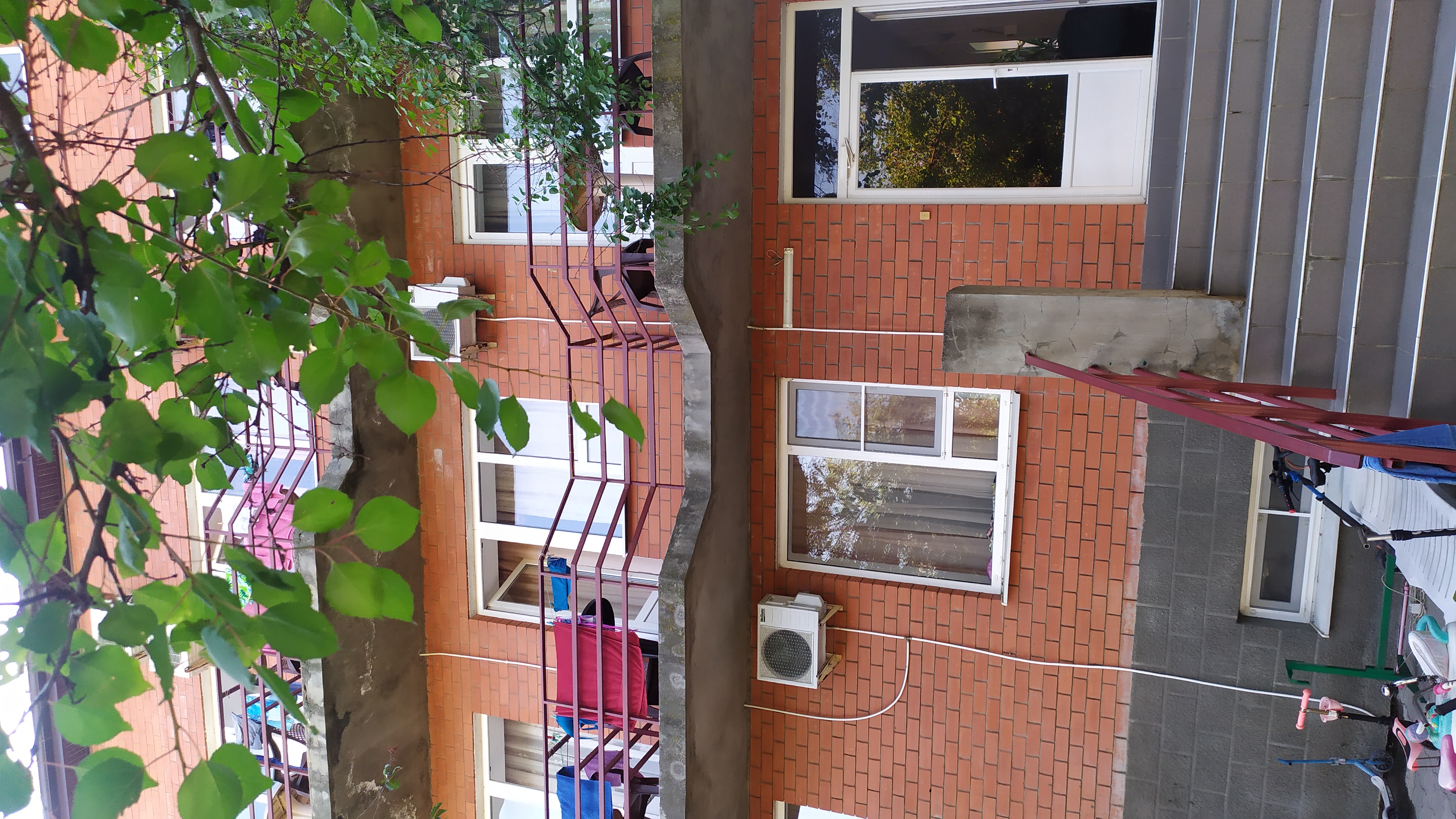 Фото Светлана