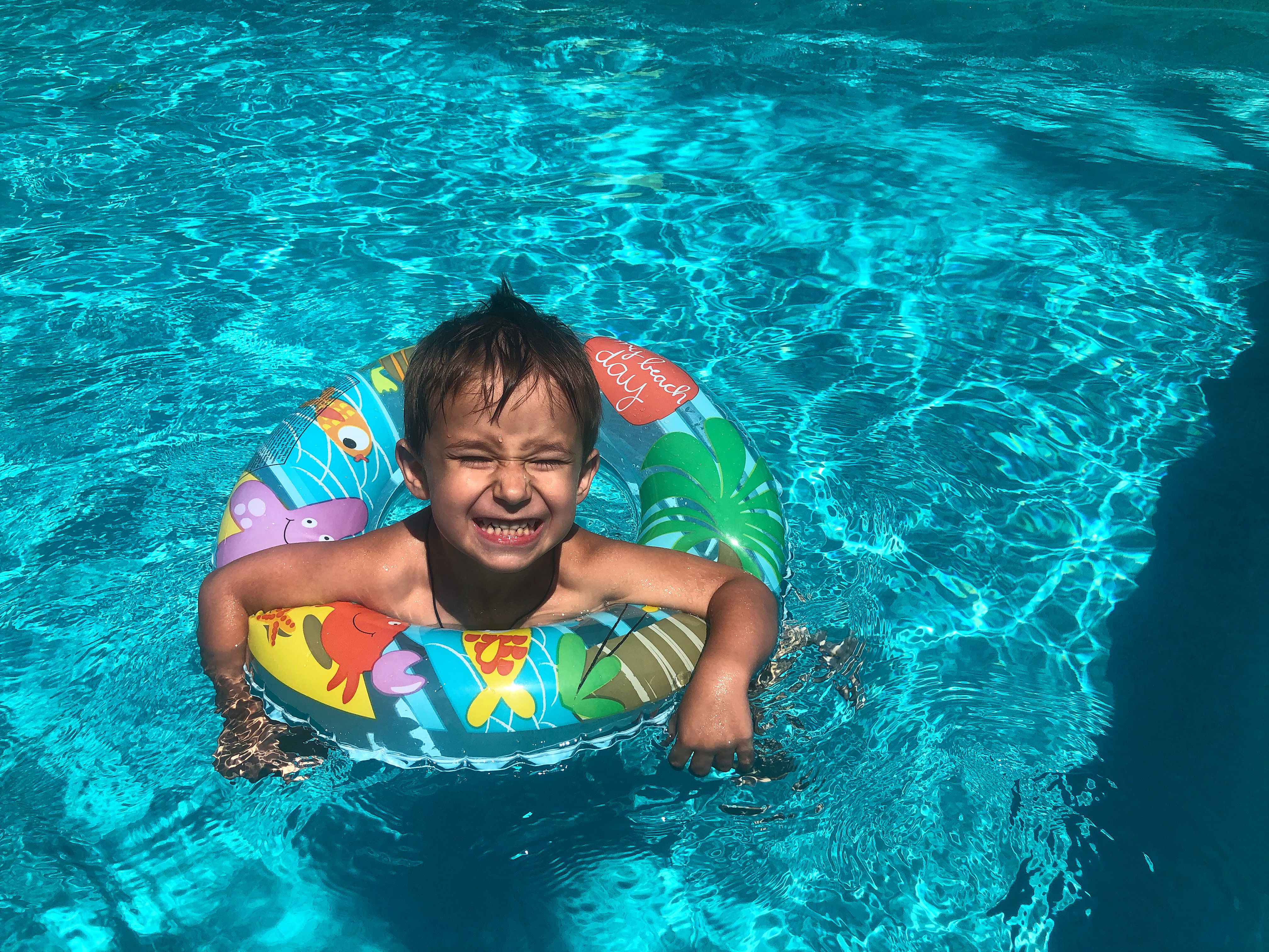 Фото Белая берёза