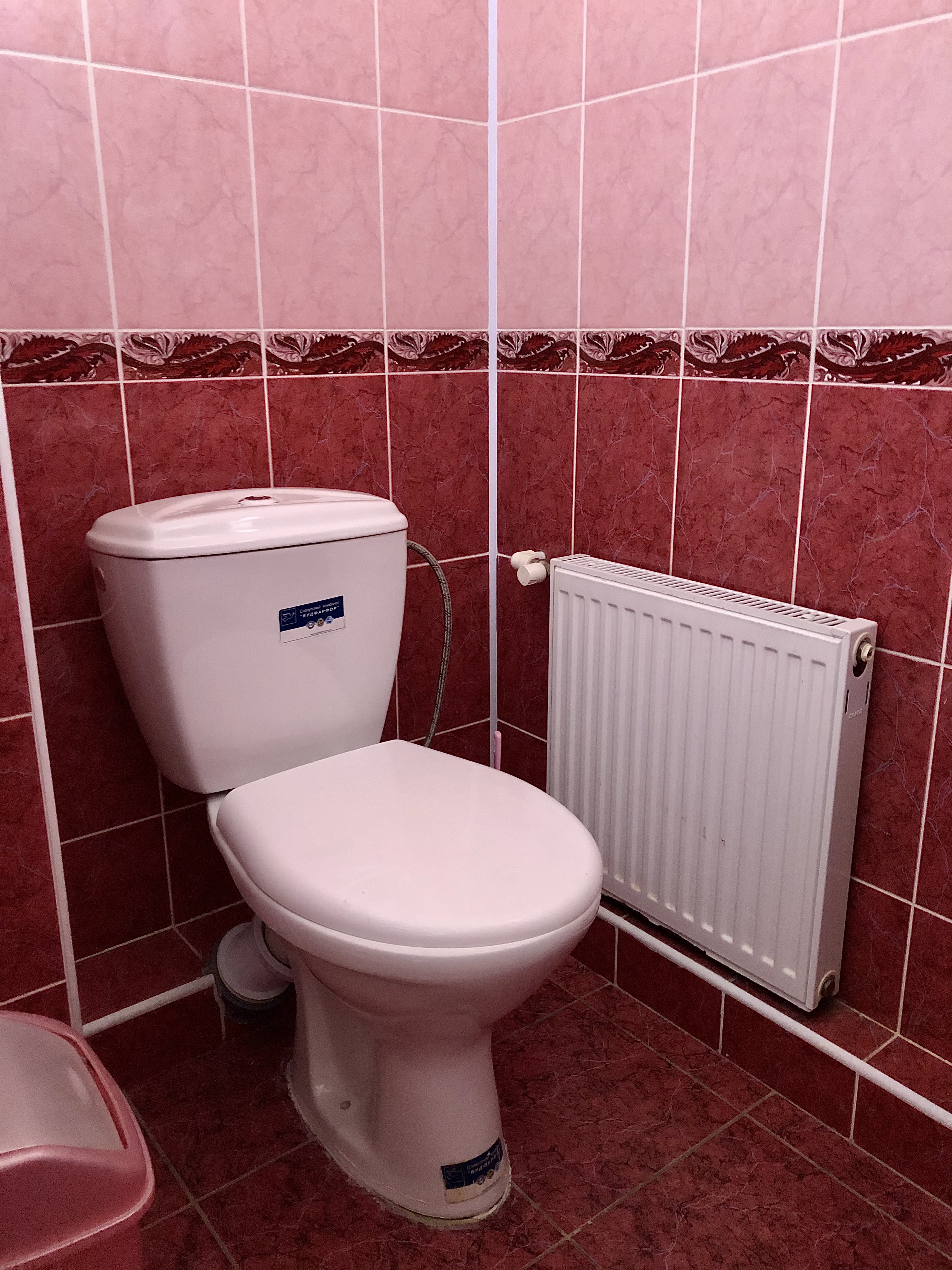 Фото Белая берёза