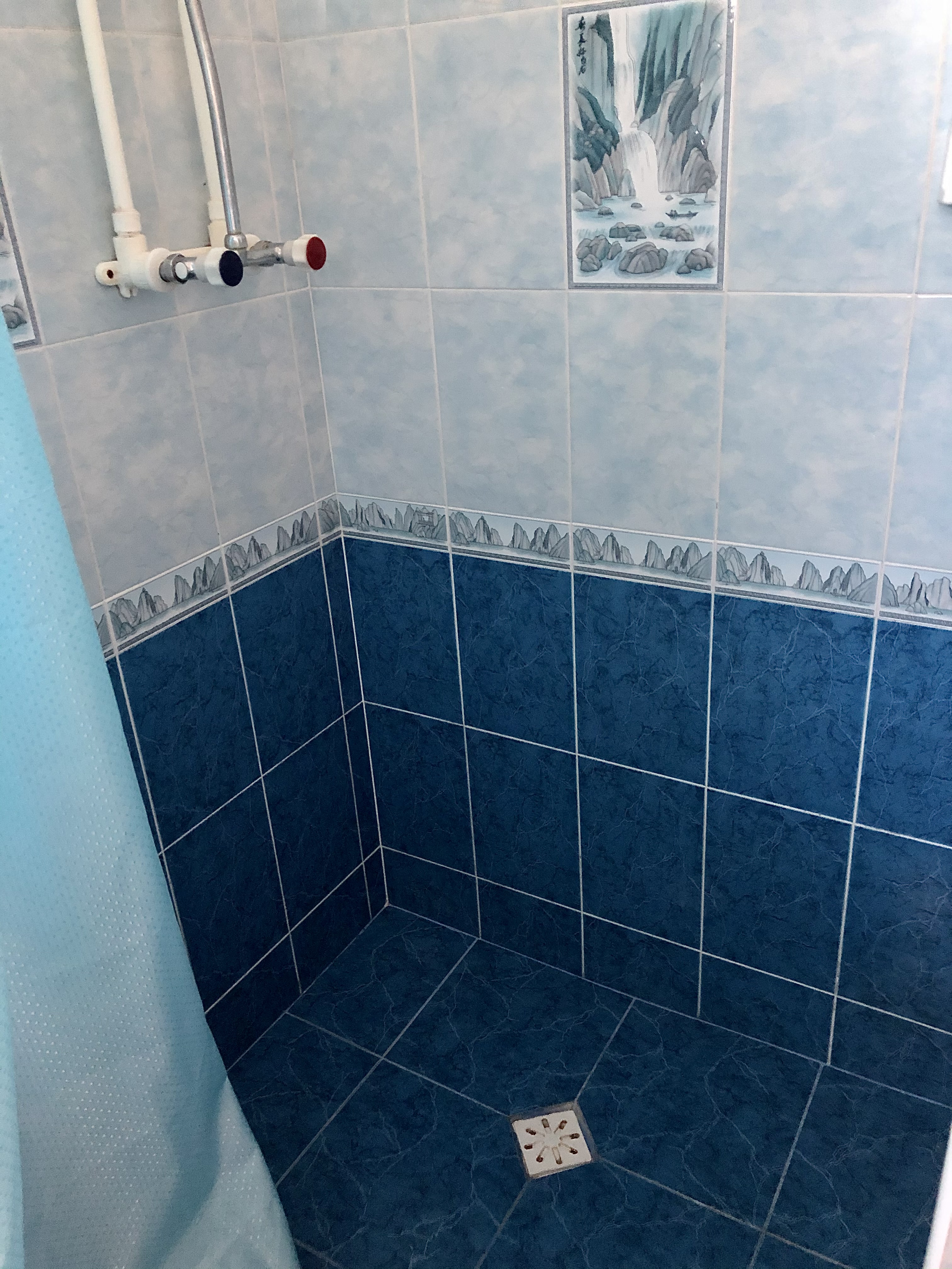 Фото Белая берёза