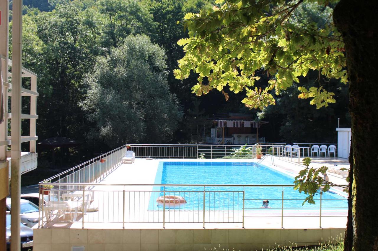 Фото Примула