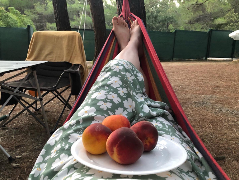 Фото Под соснами