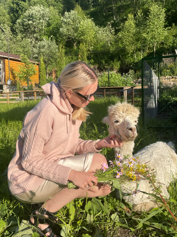 Фото Альпака