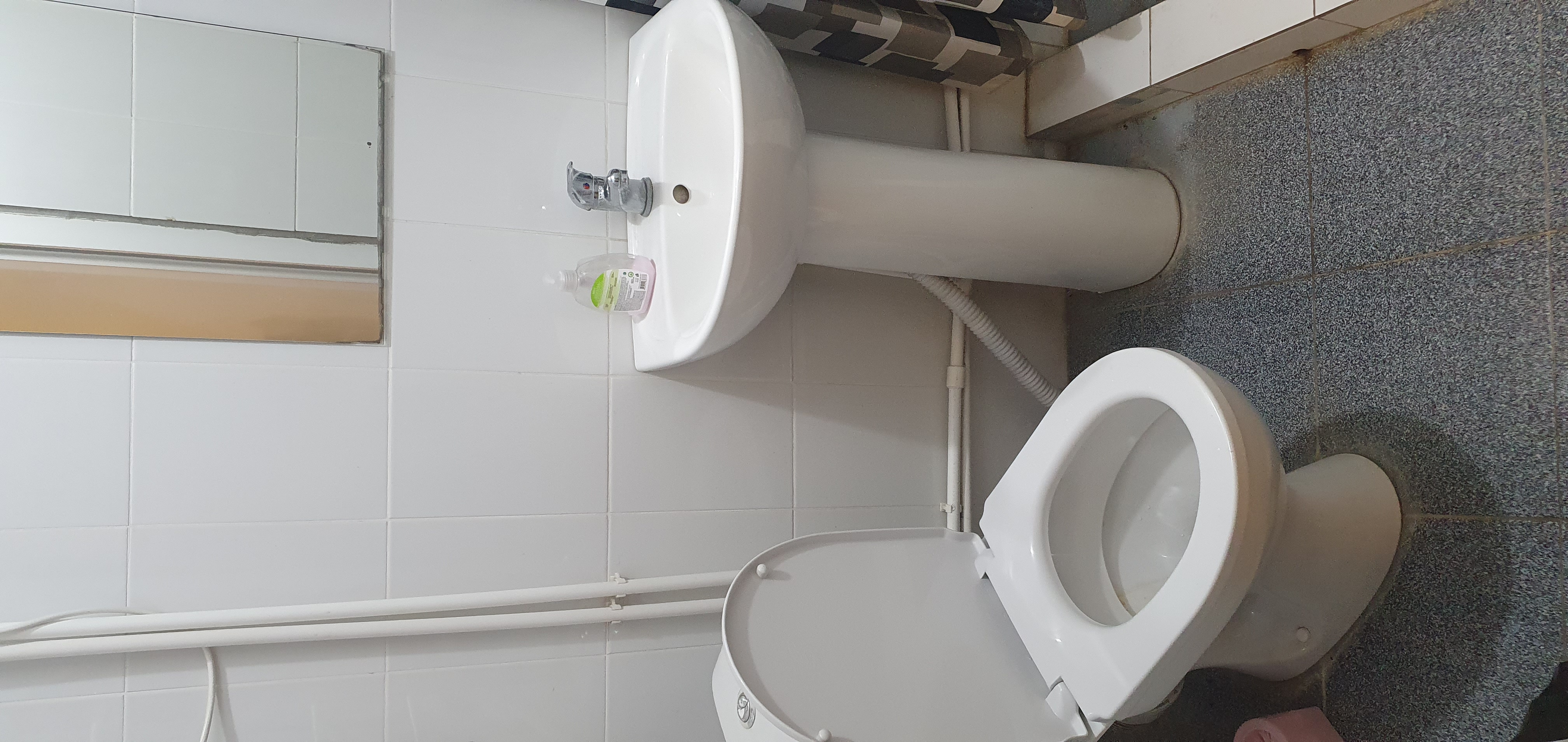 Фото Шамкир